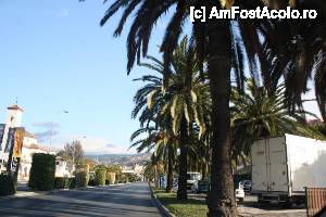 [P08] Vedere din Malaga la apropierea ieșirii din oraș pe drumul spre Granada - au apărut palmierii precum plopii pe la noi » foto by le_maitre
 - 
<span class="allrVoted glyphicon glyphicon-heart hidden" id="av487041"></span>
<a class="m-l-10 hidden" id="sv487041" onclick="voting_Foto_DelVot(,487041,9427)" role="button">șterge vot <span class="glyphicon glyphicon-remove"></span></a>
<a id="v9487041" class=" c-red"  onclick="voting_Foto_SetVot(487041)" role="button"><span class="glyphicon glyphicon-heart-empty"></span> <b>LIKE</b> = Votează poza</a> <img class="hidden"  id="f487041W9" src="/imagini/loader.gif" border="0" /><span class="AjErrMes hidden" id="e487041ErM"></span>