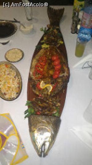 [P15] Crap protap (se gateste la cuptor). Langa, salata de stiuca marinata.  » foto by umflatila
 - 
<span class="allrVoted glyphicon glyphicon-heart hidden" id="av797340"></span>
<a class="m-l-10 hidden" id="sv797340" onclick="voting_Foto_DelVot(,797340,9445)" role="button">șterge vot <span class="glyphicon glyphicon-remove"></span></a>
<a id="v9797340" class=" c-red"  onclick="voting_Foto_SetVot(797340)" role="button"><span class="glyphicon glyphicon-heart-empty"></span> <b>LIKE</b> = Votează poza</a> <img class="hidden"  id="f797340W9" src="/imagini/loader.gif" border="0" /><span class="AjErrMes hidden" id="e797340ErM"></span>