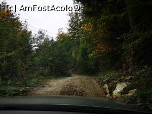 [P01] Drumul forestier ce duce la Atra Doftana » foto by crismis
 - 
<span class="allrVoted glyphicon glyphicon-heart hidden" id="av1214233"></span>
<a class="m-l-10 hidden" id="sv1214233" onclick="voting_Foto_DelVot(,1214233,9447)" role="button">șterge vot <span class="glyphicon glyphicon-remove"></span></a>
<a id="v91214233" class=" c-red"  onclick="voting_Foto_SetVot(1214233)" role="button"><span class="glyphicon glyphicon-heart-empty"></span> <b>LIKE</b> = Votează poza</a> <img class="hidden"  id="f1214233W9" src="/imagini/loader.gif" border="0" /><span class="AjErrMes hidden" id="e1214233ErM"></span>