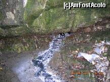 [P05] Iată ce am descoperit curgînd de sub o stîncă, în timp ce ne bălăceam în apa Nechitului. Hidrogen sulfurat mai mult ca sigur - dizolvat în apă, sare, calcar şi încă ceva negru care sedimenta - şi nu, nu erau reziduuri petroliere... » foto by Qvadratvus
 - 
<span class="allrVoted glyphicon glyphicon-heart hidden" id="av224918"></span>
<a class="m-l-10 hidden" id="sv224918" onclick="voting_Foto_DelVot(,224918,9454)" role="button">șterge vot <span class="glyphicon glyphicon-remove"></span></a>
<a id="v9224918" class=" c-red"  onclick="voting_Foto_SetVot(224918)" role="button"><span class="glyphicon glyphicon-heart-empty"></span> <b>LIKE</b> = Votează poza</a> <img class="hidden"  id="f224918W9" src="/imagini/loader.gif" border="0" /><span class="AjErrMes hidden" id="e224918ErM"></span>