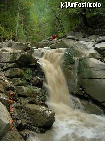 [P13] Intrarea în defileul Bolovănişului - Cascada din amonte - treapta superioară » foto by Qvadratvus
 - 
<span class="allrVoted glyphicon glyphicon-heart hidden" id="av255373"></span>
<a class="m-l-10 hidden" id="sv255373" onclick="voting_Foto_DelVot(,255373,9454)" role="button">șterge vot <span class="glyphicon glyphicon-remove"></span></a>
<a id="v9255373" class=" c-red"  onclick="voting_Foto_SetVot(255373)" role="button"><span class="glyphicon glyphicon-heart-empty"></span> <b>LIKE</b> = Votează poza</a> <img class="hidden"  id="f255373W9" src="/imagini/loader.gif" border="0" /><span class="AjErrMes hidden" id="e255373ErM"></span>