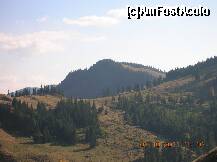 [P11] Din Şeaua Fagului - spre Munceii Naşcolat. » foto by Qvadratvus
 - 
<span class="allrVoted glyphicon glyphicon-heart hidden" id="av264794"></span>
<a class="m-l-10 hidden" id="sv264794" onclick="voting_Foto_DelVot(,264794,9454)" role="button">șterge vot <span class="glyphicon glyphicon-remove"></span></a>
<a id="v9264794" class=" c-red"  onclick="voting_Foto_SetVot(264794)" role="button"><span class="glyphicon glyphicon-heart-empty"></span> <b>LIKE</b> = Votează poza</a> <img class="hidden"  id="f264794W9" src="/imagini/loader.gif" border="0" /><span class="AjErrMes hidden" id="e264794ErM"></span>