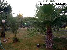 [P08] Parcul » foto by cristisch2003
 - 
<span class="allrVoted glyphicon glyphicon-heart hidden" id="av234601"></span>
<a class="m-l-10 hidden" id="sv234601" onclick="voting_Foto_DelVot(,234601,9468)" role="button">șterge vot <span class="glyphicon glyphicon-remove"></span></a>
<a id="v9234601" class=" c-red"  onclick="voting_Foto_SetVot(234601)" role="button"><span class="glyphicon glyphicon-heart-empty"></span> <b>LIKE</b> = Votează poza</a> <img class="hidden"  id="f234601W9" src="/imagini/loader.gif" border="0" /><span class="AjErrMes hidden" id="e234601ErM"></span>