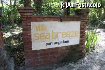 [P09] puri angin laut inseamna pe limba indoneza : castelul briza marii » foto by Pami*
 - 
<span class="allrVoted glyphicon glyphicon-heart hidden" id="av226764"></span>
<a class="m-l-10 hidden" id="sv226764" onclick="voting_Foto_DelVot(,226764,9472)" role="button">șterge vot <span class="glyphicon glyphicon-remove"></span></a>
<a id="v9226764" class=" c-red"  onclick="voting_Foto_SetVot(226764)" role="button"><span class="glyphicon glyphicon-heart-empty"></span> <b>LIKE</b> = Votează poza</a> <img class="hidden"  id="f226764W9" src="/imagini/loader.gif" border="0" /><span class="AjErrMes hidden" id="e226764ErM"></span>