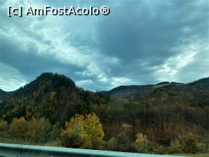 [P04] O toamna frumoasa plina de culoare » foto by mishu
 - 
<span class="allrVoted glyphicon glyphicon-heart hidden" id="av1335878"></span>
<a class="m-l-10 hidden" id="sv1335878" onclick="voting_Foto_DelVot(,1335878,9473)" role="button">șterge vot <span class="glyphicon glyphicon-remove"></span></a>
<a id="v91335878" class=" c-red"  onclick="voting_Foto_SetVot(1335878)" role="button"><span class="glyphicon glyphicon-heart-empty"></span> <b>LIKE</b> = Votează poza</a> <img class="hidden"  id="f1335878W9" src="/imagini/loader.gif" border="0" /><span class="AjErrMes hidden" id="e1335878ErM"></span>