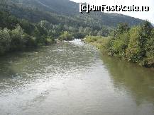[P03]  -- <small>// FĂRĂ DESCRIERE</small> » foto by amalyca
 - 
<span class="allrVoted glyphicon glyphicon-heart hidden" id="av137489"></span>
<a class="m-l-10 hidden" id="sv137489" onclick="voting_Foto_DelVot(,137489,9473)" role="button">șterge vot <span class="glyphicon glyphicon-remove"></span></a>
<a id="v9137489" class=" c-red"  onclick="voting_Foto_SetVot(137489)" role="button"><span class="glyphicon glyphicon-heart-empty"></span> <b>LIKE</b> = Votează poza</a> <img class="hidden"  id="f137489W9" src="/imagini/loader.gif" border="0" /><span class="AjErrMes hidden" id="e137489ErM"></span>