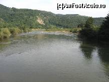 [P04]  -- <small>// FĂRĂ DESCRIERE</small> » foto by amalyca
 - 
<span class="allrVoted glyphicon glyphicon-heart hidden" id="av137490"></span>
<a class="m-l-10 hidden" id="sv137490" onclick="voting_Foto_DelVot(,137490,9473)" role="button">șterge vot <span class="glyphicon glyphicon-remove"></span></a>
<a id="v9137490" class=" c-red"  onclick="voting_Foto_SetVot(137490)" role="button"><span class="glyphicon glyphicon-heart-empty"></span> <b>LIKE</b> = Votează poza</a> <img class="hidden"  id="f137490W9" src="/imagini/loader.gif" border="0" /><span class="AjErrMes hidden" id="e137490ErM"></span>