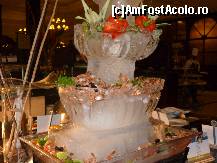 [P18] Cascada de shrimp » foto by graclari
 - 
<span class="allrVoted glyphicon glyphicon-heart hidden" id="av306169"></span>
<a class="m-l-10 hidden" id="sv306169" onclick="voting_Foto_DelVot(,306169,9476)" role="button">șterge vot <span class="glyphicon glyphicon-remove"></span></a>
<a id="v9306169" class=" c-red"  onclick="voting_Foto_SetVot(306169)" role="button"><span class="glyphicon glyphicon-heart-empty"></span> <b>LIKE</b> = Votează poza</a> <img class="hidden"  id="f306169W9" src="/imagini/loader.gif" border="0" /><span class="AjErrMes hidden" id="e306169ErM"></span>