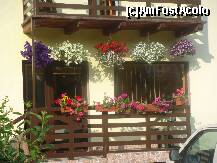 [P14] Casa in Sirnea » foto by Fania
 - 
<span class="allrVoted glyphicon glyphicon-heart hidden" id="av227688"></span>
<a class="m-l-10 hidden" id="sv227688" onclick="voting_Foto_DelVot(,227688,9489)" role="button">șterge vot <span class="glyphicon glyphicon-remove"></span></a>
<a id="v9227688" class=" c-red"  onclick="voting_Foto_SetVot(227688)" role="button"><span class="glyphicon glyphicon-heart-empty"></span> <b>LIKE</b> = Votează poza</a> <img class="hidden"  id="f227688W9" src="/imagini/loader.gif" border="0" /><span class="AjErrMes hidden" id="e227688ErM"></span>