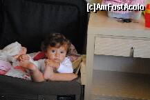 [P11]  -- <small>// FĂRĂ DESCRIERE</small> » foto by cristimustata
 - 
<span class="allrVoted glyphicon glyphicon-heart hidden" id="av246602"></span>
<a class="m-l-10 hidden" id="sv246602" onclick="voting_Foto_DelVot(,246602,9525)" role="button">șterge vot <span class="glyphicon glyphicon-remove"></span></a>
<a id="v9246602" class=" c-red"  onclick="voting_Foto_SetVot(246602)" role="button"><span class="glyphicon glyphicon-heart-empty"></span> <b>LIKE</b> = Votează poza</a> <img class="hidden"  id="f246602W9" src="/imagini/loader.gif" border="0" /><span class="AjErrMes hidden" id="e246602ErM"></span>