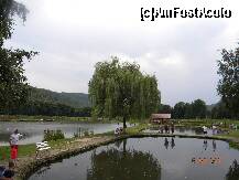 [P03] Lacul din stanga este cu crap iar cele din dreapta sunt cu pastravi » foto by bitnic
 - 
<span class="allrVoted glyphicon glyphicon-heart hidden" id="av230503"></span>
<a class="m-l-10 hidden" id="sv230503" onclick="voting_Foto_DelVot(,230503,9538)" role="button">șterge vot <span class="glyphicon glyphicon-remove"></span></a>
<a id="v9230503" class=" c-red"  onclick="voting_Foto_SetVot(230503)" role="button"><span class="glyphicon glyphicon-heart-empty"></span> <b>LIKE</b> = Votează poza</a> <img class="hidden"  id="f230503W9" src="/imagini/loader.gif" border="0" /><span class="AjErrMes hidden" id="e230503ErM"></span>