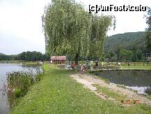 [P09] O salcie umbroasa intre lacuri » foto by bitnic
 - 
<span class="allrVoted glyphicon glyphicon-heart hidden" id="av230519"></span>
<a class="m-l-10 hidden" id="sv230519" onclick="voting_Foto_DelVot(,230519,9538)" role="button">șterge vot <span class="glyphicon glyphicon-remove"></span></a>
<a id="v9230519" class=" c-red"  onclick="voting_Foto_SetVot(230519)" role="button"><span class="glyphicon glyphicon-heart-empty"></span> <b>LIKE</b> = Votează poza</a> <img class="hidden"  id="f230519W9" src="/imagini/loader.gif" border="0" /><span class="AjErrMes hidden" id="e230519ErM"></span>