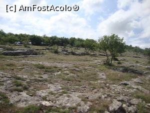 [P13] Panta este destul de abordabilă.  » foto by Floryn81
 - 
<span class="allrVoted glyphicon glyphicon-heart hidden" id="av1004794"></span>
<a class="m-l-10 hidden" id="sv1004794" onclick="voting_Foto_DelVot(,1004794,9542)" role="button">șterge vot <span class="glyphicon glyphicon-remove"></span></a>
<a id="v91004794" class=" c-red"  onclick="voting_Foto_SetVot(1004794)" role="button"><span class="glyphicon glyphicon-heart-empty"></span> <b>LIKE</b> = Votează poza</a> <img class="hidden"  id="f1004794W9" src="/imagini/loader.gif" border="0" /><span class="AjErrMes hidden" id="e1004794ErM"></span>