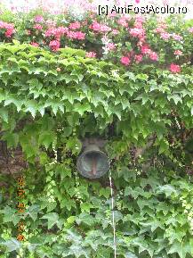 [P25] Soneria? » foto by verobutterfly
 - 
<span class="allrVoted glyphicon glyphicon-heart hidden" id="av231045"></span>
<a class="m-l-10 hidden" id="sv231045" onclick="voting_Foto_DelVot(,231045,9547)" role="button">șterge vot <span class="glyphicon glyphicon-remove"></span></a>
<a id="v9231045" class=" c-red"  onclick="voting_Foto_SetVot(231045)" role="button"><span class="glyphicon glyphicon-heart-empty"></span> <b>LIKE</b> = Votează poza</a> <img class="hidden"  id="f231045W9" src="/imagini/loader.gif" border="0" /><span class="AjErrMes hidden" id="e231045ErM"></span>