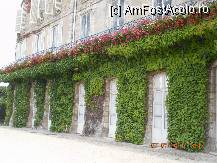 [P26]  -- <small>// FĂRĂ DESCRIERE</small> » foto by verobutterfly
 - 
<span class="allrVoted glyphicon glyphicon-heart hidden" id="av231046"></span>
<a class="m-l-10 hidden" id="sv231046" onclick="voting_Foto_DelVot(,231046,9547)" role="button">șterge vot <span class="glyphicon glyphicon-remove"></span></a>
<a id="v9231046" class=" c-red"  onclick="voting_Foto_SetVot(231046)" role="button"><span class="glyphicon glyphicon-heart-empty"></span> <b>LIKE</b> = Votează poza</a> <img class="hidden"  id="f231046W9" src="/imagini/loader.gif" border="0" /><span class="AjErrMes hidden" id="e231046ErM"></span>