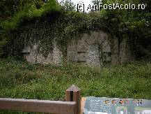 [P42] Gelateria sau locul unde se tinea inghetata...in mijlocul padurii :) » foto by verobutterfly
 - 
<span class="allrVoted glyphicon glyphicon-heart hidden" id="av231068"></span>
<a class="m-l-10 hidden" id="sv231068" onclick="voting_Foto_DelVot(,231068,9547)" role="button">șterge vot <span class="glyphicon glyphicon-remove"></span></a>
<a id="v9231068" class=" c-red"  onclick="voting_Foto_SetVot(231068)" role="button"><span class="glyphicon glyphicon-heart-empty"></span> <b>LIKE</b> = Votează poza</a> <img class="hidden"  id="f231068W9" src="/imagini/loader.gif" border="0" /><span class="AjErrMes hidden" id="e231068ErM"></span>