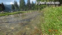 [P12] zona superba si in fata camping-ul de corturi » foto by vio_andu_gaby
 - 
<span class="allrVoted glyphicon glyphicon-heart hidden" id="av231103"></span>
<a class="m-l-10 hidden" id="sv231103" onclick="voting_Foto_DelVot(,231103,9549)" role="button">șterge vot <span class="glyphicon glyphicon-remove"></span></a>
<a id="v9231103" class=" c-red"  onclick="voting_Foto_SetVot(231103)" role="button"><span class="glyphicon glyphicon-heart-empty"></span> <b>LIKE</b> = Votează poza</a> <img class="hidden"  id="f231103W9" src="/imagini/loader.gif" border="0" /><span class="AjErrMes hidden" id="e231103ErM"></span>