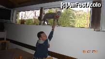 [P03] in restaurant » foto by vio_andu_gaby
 - 
<span class="allrVoted glyphicon glyphicon-heart hidden" id="av231082"></span>
<a class="m-l-10 hidden" id="sv231082" onclick="voting_Foto_DelVot(,231082,9549)" role="button">șterge vot <span class="glyphicon glyphicon-remove"></span></a>
<a id="v9231082" class=" c-red"  onclick="voting_Foto_SetVot(231082)" role="button"><span class="glyphicon glyphicon-heart-empty"></span> <b>LIKE</b> = Votează poza</a> <img class="hidden"  id="f231082W9" src="/imagini/loader.gif" border="0" /><span class="AjErrMes hidden" id="e231082ErM"></span>