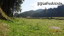 [P04] cabana vazuta din locul unde faceam gratar » foto by vio_andu_gaby
 - 
<span class="allrVoted glyphicon glyphicon-heart hidden" id="av231084"></span>
<a class="m-l-10 hidden" id="sv231084" onclick="voting_Foto_DelVot(,231084,9549)" role="button">șterge vot <span class="glyphicon glyphicon-remove"></span></a>
<a id="v9231084" class=" c-red"  onclick="voting_Foto_SetVot(231084)" role="button"><span class="glyphicon glyphicon-heart-empty"></span> <b>LIKE</b> = Votează poza</a> <img class="hidden"  id="f231084W9" src="/imagini/loader.gif" border="0" /><span class="AjErrMes hidden" id="e231084ErM"></span>