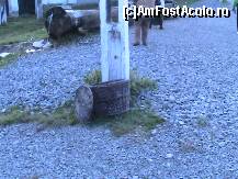 [P16] Unul din amintitele cosuri de gunoi specifice satului » foto by kikiritzi
 - 
<span class="allrVoted glyphicon glyphicon-heart hidden" id="av492688"></span>
<a class="m-l-10 hidden" id="sv492688" onclick="voting_Foto_DelVot(,492688,9553)" role="button">șterge vot <span class="glyphicon glyphicon-remove"></span></a>
<a id="v9492688" class=" c-red"  onclick="voting_Foto_SetVot(492688)" role="button"><span class="glyphicon glyphicon-heart-empty"></span> <b>LIKE</b> = Votează poza</a> <img class="hidden"  id="f492688W9" src="/imagini/loader.gif" border="0" /><span class="AjErrMes hidden" id="e492688ErM"></span>