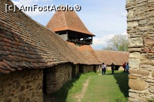 [P06] Viscri, Biserica Evanghelică Fortificată, Zid și Turn de apărare » foto by mprofeanu
 - 
<span class="allrVoted glyphicon glyphicon-heart hidden" id="av1176283"></span>
<a class="m-l-10 hidden" id="sv1176283" onclick="voting_Foto_DelVot(,1176283,9553)" role="button">șterge vot <span class="glyphicon glyphicon-remove"></span></a>
<a id="v91176283" class=" c-red"  onclick="voting_Foto_SetVot(1176283)" role="button"><span class="glyphicon glyphicon-heart-empty"></span> <b>LIKE</b> = Votează poza</a> <img class="hidden"  id="f1176283W9" src="/imagini/loader.gif" border="0" /><span class="AjErrMes hidden" id="e1176283ErM"></span>