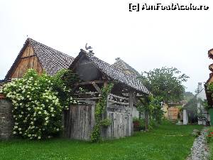 [P17]  -- <small>// FĂRĂ DESCRIERE</small> » foto by LidiaV
 - 
<span class="allrVoted glyphicon glyphicon-heart hidden" id="av556549"></span>
<a class="m-l-10 hidden" id="sv556549" onclick="voting_Foto_DelVot(,556549,9553)" role="button">șterge vot <span class="glyphicon glyphicon-remove"></span></a>
<a id="v9556549" class=" c-red"  onclick="voting_Foto_SetVot(556549)" role="button"><span class="glyphicon glyphicon-heart-empty"></span> <b>LIKE</b> = Votează poza</a> <img class="hidden"  id="f556549W9" src="/imagini/loader.gif" border="0" /><span class="AjErrMes hidden" id="e556549ErM"></span>
