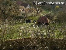 [P19] Cetatea si biserica fortificata Viscri - vedere din turn, cimitirul » foto by biancuta
 - 
<span class="allrVoted glyphicon glyphicon-heart hidden" id="av68986"></span>
<a class="m-l-10 hidden" id="sv68986" onclick="voting_Foto_DelVot(,68986,9553)" role="button">șterge vot <span class="glyphicon glyphicon-remove"></span></a>
<a id="v968986" class=" c-red"  onclick="voting_Foto_SetVot(68986)" role="button"><span class="glyphicon glyphicon-heart-empty"></span> <b>LIKE</b> = Votează poza</a> <img class="hidden"  id="f68986W9" src="/imagini/loader.gif" border="0" /><span class="AjErrMes hidden" id="e68986ErM"></span>
