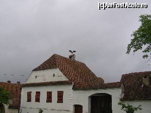 [P14] Evadare in trecut: Viscri - Casa cu barza » foto by RoF*
 - 
<span class="allrVoted glyphicon glyphicon-heart hidden" id="av516749"></span>
<a class="m-l-10 hidden" id="sv516749" onclick="voting_Foto_DelVot(,516749,9553)" role="button">șterge vot <span class="glyphicon glyphicon-remove"></span></a>
<a id="v9516749" class=" c-red"  onclick="voting_Foto_SetVot(516749)" role="button"><span class="glyphicon glyphicon-heart-empty"></span> <b>LIKE</b> = Votează poza</a> <img class="hidden"  id="f516749W9" src="/imagini/loader.gif" border="0" /><span class="AjErrMes hidden" id="e516749ErM"></span>