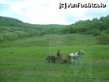 [P21] De secole, acest motor de un cal-putere, este principalul mijloc de transport din Viscri » foto by dorgo
 - 
<span class="allrVoted glyphicon glyphicon-heart hidden" id="av201499"></span>
<a class="m-l-10 hidden" id="sv201499" onclick="voting_Foto_DelVot(,201499,9553)" role="button">șterge vot <span class="glyphicon glyphicon-remove"></span></a>
<a id="v9201499" class=" c-red"  onclick="voting_Foto_SetVot(201499)" role="button"><span class="glyphicon glyphicon-heart-empty"></span> <b>LIKE</b> = Votează poza</a> <img class="hidden"  id="f201499W9" src="/imagini/loader.gif" border="0" /><span class="AjErrMes hidden" id="e201499ErM"></span>