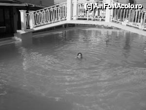 [P12] piscina » foto by vacantamea2012
 - 
<span class="allrVoted glyphicon glyphicon-heart hidden" id="av492045"></span>
<a class="m-l-10 hidden" id="sv492045" onclick="voting_Foto_DelVot(,492045,9556)" role="button">șterge vot <span class="glyphicon glyphicon-remove"></span></a>
<a id="v9492045" class=" c-red"  onclick="voting_Foto_SetVot(492045)" role="button"><span class="glyphicon glyphicon-heart-empty"></span> <b>LIKE</b> = Votează poza</a> <img class="hidden"  id="f492045W9" src="/imagini/loader.gif" border="0" /><span class="AjErrMes hidden" id="e492045ErM"></span>