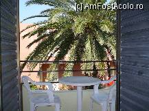 [P06] Balconul cu palmierul nostru » foto by STEFAN I
 - 
<span class="allrVoted glyphicon glyphicon-heart hidden" id="av231289"></span>
<a class="m-l-10 hidden" id="sv231289" onclick="voting_Foto_DelVot(,231289,9556)" role="button">șterge vot <span class="glyphicon glyphicon-remove"></span></a>
<a id="v9231289" class=" c-red"  onclick="voting_Foto_SetVot(231289)" role="button"><span class="glyphicon glyphicon-heart-empty"></span> <b>LIKE</b> = Votează poza</a> <img class="hidden"  id="f231289W9" src="/imagini/loader.gif" border="0" /><span class="AjErrMes hidden" id="e231289ErM"></span>