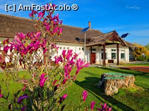 [P12]  -- <small>// FĂRĂ DESCRIERE</small> » foto by pepsi70ro
 - 
<span class="allrVoted glyphicon glyphicon-heart hidden" id="av1293117"></span>
<a class="m-l-10 hidden" id="sv1293117" onclick="voting_Foto_DelVot(,1293117,9574)" role="button">șterge vot <span class="glyphicon glyphicon-remove"></span></a>
<a id="v91293117" class=" c-red"  onclick="voting_Foto_SetVot(1293117)" role="button"><span class="glyphicon glyphicon-heart-empty"></span> <b>LIKE</b> = Votează poza</a> <img class="hidden"  id="f1293117W9" src="/imagini/loader.gif" border="0" /><span class="AjErrMes hidden" id="e1293117ErM"></span>