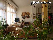 [P12] vedere din sectiunea canapelelor- plantele inflorite sporesc confortul » foto by adri-nico
 - 
<span class="allrVoted glyphicon glyphicon-heart hidden" id="av285902"></span>
<a class="m-l-10 hidden" id="sv285902" onclick="voting_Foto_DelVot(,285902,9590)" role="button">șterge vot <span class="glyphicon glyphicon-remove"></span></a>
<a id="v9285902" class=" c-red"  onclick="voting_Foto_SetVot(285902)" role="button"><span class="glyphicon glyphicon-heart-empty"></span> <b>LIKE</b> = Votează poza</a> <img class="hidden"  id="f285902W9" src="/imagini/loader.gif" border="0" /><span class="AjErrMes hidden" id="e285902ErM"></span>
