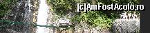 [P12]  -- <small>// FĂRĂ DESCRIERE</small> » foto by vio_andu_gaby
 - 
<span class="allrVoted glyphicon glyphicon-heart hidden" id="av232434"></span>
<a class="m-l-10 hidden" id="sv232434" onclick="voting_Foto_DelVot(,232434,9594)" role="button">șterge vot <span class="glyphicon glyphicon-remove"></span></a>
<a id="v9232434" class=" c-red"  onclick="voting_Foto_SetVot(232434)" role="button"><span class="glyphicon glyphicon-heart-empty"></span> <b>LIKE</b> = Votează poza</a> <img class="hidden"  id="f232434W9" src="/imagini/loader.gif" border="0" /><span class="AjErrMes hidden" id="e232434ErM"></span>