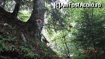 [P15] pe carare spre cascada chiar si sporturi extreme » foto by vio_andu_gaby
 - 
<span class="allrVoted glyphicon glyphicon-heart hidden" id="av232450"></span>
<a class="m-l-10 hidden" id="sv232450" onclick="voting_Foto_DelVot(,232450,9594)" role="button">șterge vot <span class="glyphicon glyphicon-remove"></span></a>
<a id="v9232450" class=" c-red"  onclick="voting_Foto_SetVot(232450)" role="button"><span class="glyphicon glyphicon-heart-empty"></span> <b>LIKE</b> = Votează poza</a> <img class="hidden"  id="f232450W9" src="/imagini/loader.gif" border="0" /><span class="AjErrMes hidden" id="e232450ErM"></span>
