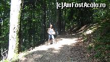 [P18] dupa primele 15-20 min cam asa arata traseul pana la cascada » foto by vio_andu_gaby
 - 
<span class="allrVoted glyphicon glyphicon-heart hidden" id="av232456"></span>
<a class="m-l-10 hidden" id="sv232456" onclick="voting_Foto_DelVot(,232456,9594)" role="button">șterge vot <span class="glyphicon glyphicon-remove"></span></a>
<a id="v9232456" class=" c-red"  onclick="voting_Foto_SetVot(232456)" role="button"><span class="glyphicon glyphicon-heart-empty"></span> <b>LIKE</b> = Votează poza</a> <img class="hidden"  id="f232456W9" src="/imagini/loader.gif" border="0" /><span class="AjErrMes hidden" id="e232456ErM"></span>