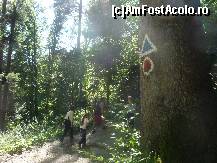 [P05] Traseul spre Cascada Urlatoarea. » foto by Horia
 - 
<span class="allrVoted glyphicon glyphicon-heart hidden" id="av141065"></span>
<a class="m-l-10 hidden" id="sv141065" onclick="voting_Foto_DelVot(,141065,9594)" role="button">șterge vot <span class="glyphicon glyphicon-remove"></span></a>
<a id="v9141065" class=" c-red"  onclick="voting_Foto_SetVot(141065)" role="button"><span class="glyphicon glyphicon-heart-empty"></span> <b>LIKE</b> = Votează poza</a> <img class="hidden"  id="f141065W9" src="/imagini/loader.gif" border="0" /><span class="AjErrMes hidden" id="e141065ErM"></span>