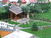 [P11]  -- <small>// FĂRĂ DESCRIERE</small> » foto by Trofin Cristina
 - 
<span class="allrVoted glyphicon glyphicon-heart hidden" id="av234674"></span>
<a class="m-l-10 hidden" id="sv234674" onclick="voting_Foto_DelVot(,234674,9595)" role="button">șterge vot <span class="glyphicon glyphicon-remove"></span></a>
<a id="v9234674" class=" c-red"  onclick="voting_Foto_SetVot(234674)" role="button"><span class="glyphicon glyphicon-heart-empty"></span> <b>LIKE</b> = Votează poza</a> <img class="hidden"  id="f234674W9" src="/imagini/loader.gif" border="0" /><span class="AjErrMes hidden" id="e234674ErM"></span>