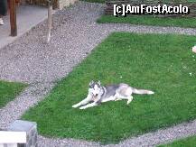 [P13]  -- <small>// FĂRĂ DESCRIERE</small> » foto by Trofin Cristina
 - 
<span class="allrVoted glyphicon glyphicon-heart hidden" id="av234676"></span>
<a class="m-l-10 hidden" id="sv234676" onclick="voting_Foto_DelVot(,234676,9595)" role="button">șterge vot <span class="glyphicon glyphicon-remove"></span></a>
<a id="v9234676" class=" c-red"  onclick="voting_Foto_SetVot(234676)" role="button"><span class="glyphicon glyphicon-heart-empty"></span> <b>LIKE</b> = Votează poza</a> <img class="hidden"  id="f234676W9" src="/imagini/loader.gif" border="0" /><span class="AjErrMes hidden" id="e234676ErM"></span>