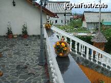 [P03]  -- <small>// FĂRĂ DESCRIERE</small> » foto by Trofin Cristina
 - 
<span class="allrVoted glyphicon glyphicon-heart hidden" id="av234666"></span>
<a class="m-l-10 hidden" id="sv234666" onclick="voting_Foto_DelVot(,234666,9595)" role="button">șterge vot <span class="glyphicon glyphicon-remove"></span></a>
<a id="v9234666" class=" c-red"  onclick="voting_Foto_SetVot(234666)" role="button"><span class="glyphicon glyphicon-heart-empty"></span> <b>LIKE</b> = Votează poza</a> <img class="hidden"  id="f234666W9" src="/imagini/loader.gif" border="0" /><span class="AjErrMes hidden" id="e234666ErM"></span>