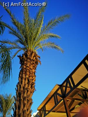 [P14]  -- <small>// FĂRĂ DESCRIERE</small> » foto by arub
 - 
<span class="allrVoted glyphicon glyphicon-heart hidden" id="av1191539"></span>
<a class="m-l-10 hidden" id="sv1191539" onclick="voting_Foto_DelVot(,1191539,9610)" role="button">șterge vot <span class="glyphicon glyphicon-remove"></span></a>
<a id="v91191539" class=" c-red"  onclick="voting_Foto_SetVot(1191539)" role="button"><span class="glyphicon glyphicon-heart-empty"></span> <b>LIKE</b> = Votează poza</a> <img class="hidden"  id="f1191539W9" src="/imagini/loader.gif" border="0" /><span class="AjErrMes hidden" id="e1191539ErM"></span>