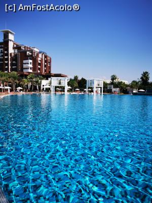 [P17]  -- <small>// FĂRĂ DESCRIERE</small> » foto by arub
 - 
<span class="allrVoted glyphicon glyphicon-heart hidden" id="av1191542"></span>
<a class="m-l-10 hidden" id="sv1191542" onclick="voting_Foto_DelVot(,1191542,9610)" role="button">șterge vot <span class="glyphicon glyphicon-remove"></span></a>
<a id="v91191542" class=" c-red"  onclick="voting_Foto_SetVot(1191542)" role="button"><span class="glyphicon glyphicon-heart-empty"></span> <b>LIKE</b> = Votează poza</a> <img class="hidden"  id="f1191542W9" src="/imagini/loader.gif" border="0" /><span class="AjErrMes hidden" id="e1191542ErM"></span>