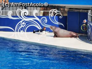 [P07]  -- <small>// FĂRĂ DESCRIERE</small> » foto by arub
 - 
<span class="allrVoted glyphicon glyphicon-heart hidden" id="av1191532"></span>
<a class="m-l-10 hidden" id="sv1191532" onclick="voting_Foto_DelVot(,1191532,9610)" role="button">șterge vot <span class="glyphicon glyphicon-remove"></span></a>
<a id="v91191532" class=" c-red"  onclick="voting_Foto_SetVot(1191532)" role="button"><span class="glyphicon glyphicon-heart-empty"></span> <b>LIKE</b> = Votează poza</a> <img class="hidden"  id="f1191532W9" src="/imagini/loader.gif" border="0" /><span class="AjErrMes hidden" id="e1191532ErM"></span>