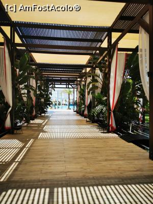 [P06] Aleea de la restaurant » foto by arub
 - 
<span class="allrVoted glyphicon glyphicon-heart hidden" id="av1232871"></span>
<a class="m-l-10 hidden" id="sv1232871" onclick="voting_Foto_DelVot(,1232871,9610)" role="button">șterge vot <span class="glyphicon glyphicon-remove"></span></a>
<a id="v91232871" class=" c-red"  onclick="voting_Foto_SetVot(1232871)" role="button"><span class="glyphicon glyphicon-heart-empty"></span> <b>LIKE</b> = Votează poza</a> <img class="hidden"  id="f1232871W9" src="/imagini/loader.gif" border="0" /><span class="AjErrMes hidden" id="e1232871ErM"></span>