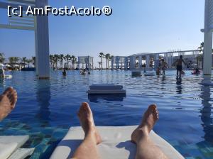 [P06]  -- <small>// FĂRĂ DESCRIERE</small> » foto by iancusabin
 - 
<span class="allrVoted glyphicon glyphicon-heart hidden" id="av1235631"></span>
<a class="m-l-10 hidden" id="sv1235631" onclick="voting_Foto_DelVot(,1235631,9610)" role="button">șterge vot <span class="glyphicon glyphicon-remove"></span></a>
<a id="v91235631" class=" c-red"  onclick="voting_Foto_SetVot(1235631)" role="button"><span class="glyphicon glyphicon-heart-empty"></span> <b>LIKE</b> = Votează poza</a> <img class="hidden"  id="f1235631W9" src="/imagini/loader.gif" border="0" /><span class="AjErrMes hidden" id="e1235631ErM"></span>