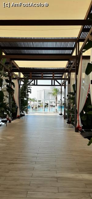 [P11] Alee ce duce către sala de mese . » foto by moraru marian
 - 
<span class="allrVoted glyphicon glyphicon-heart hidden" id="av1182486"></span>
<a class="m-l-10 hidden" id="sv1182486" onclick="voting_Foto_DelVot(,1182486,9610)" role="button">șterge vot <span class="glyphicon glyphicon-remove"></span></a>
<a id="v91182486" class=" c-red"  onclick="voting_Foto_SetVot(1182486)" role="button"><span class="glyphicon glyphicon-heart-empty"></span> <b>LIKE</b> = Votează poza</a> <img class="hidden"  id="f1182486W9" src="/imagini/loader.gif" border="0" /><span class="AjErrMes hidden" id="e1182486ErM"></span>