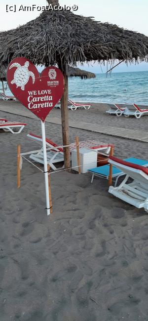 [P13] Cuibușor cu ouă de țestoasă . » foto by moraru marian
 - 
<span class="allrVoted glyphicon glyphicon-heart hidden" id="av1182488"></span>
<a class="m-l-10 hidden" id="sv1182488" onclick="voting_Foto_DelVot(,1182488,9610)" role="button">șterge vot <span class="glyphicon glyphicon-remove"></span></a>
<a id="v91182488" class=" c-red"  onclick="voting_Foto_SetVot(1182488)" role="button"><span class="glyphicon glyphicon-heart-empty"></span> <b>LIKE</b> = Votează poza</a> <img class="hidden"  id="f1182488W9" src="/imagini/loader.gif" border="0" /><span class="AjErrMes hidden" id="e1182488ErM"></span>