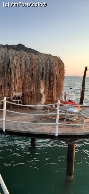 [P19] Separeuri pe ponton cu plată . » foto by moraru marian
 - 
<span class="allrVoted glyphicon glyphicon-heart hidden" id="av1182494"></span>
<a class="m-l-10 hidden" id="sv1182494" onclick="voting_Foto_DelVot(,1182494,9610)" role="button">șterge vot <span class="glyphicon glyphicon-remove"></span></a>
<a id="v91182494" class=" c-red"  onclick="voting_Foto_SetVot(1182494)" role="button"><span class="glyphicon glyphicon-heart-empty"></span> <b>LIKE</b> = Votează poza</a> <img class="hidden"  id="f1182494W9" src="/imagini/loader.gif" border="0" /><span class="AjErrMes hidden" id="e1182494ErM"></span>