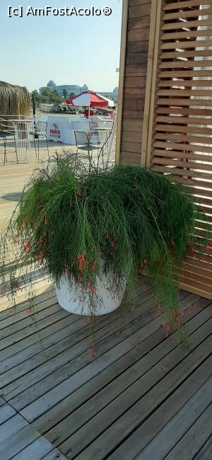 [P32] Imagine din resort . » foto by moraru marian
 - 
<span class="allrVoted glyphicon glyphicon-heart hidden" id="av1182519"></span>
<a class="m-l-10 hidden" id="sv1182519" onclick="voting_Foto_DelVot(,1182519,9610)" role="button">șterge vot <span class="glyphicon glyphicon-remove"></span></a>
<a id="v91182519" class=" c-red"  onclick="voting_Foto_SetVot(1182519)" role="button"><span class="glyphicon glyphicon-heart-empty"></span> <b>LIKE</b> = Votează poza</a> <img class="hidden"  id="f1182519W9" src="/imagini/loader.gif" border="0" /><span class="AjErrMes hidden" id="e1182519ErM"></span>