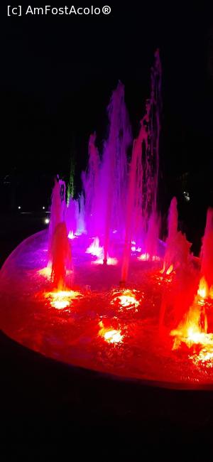 [P34] Arteziene cu diferite culori . » foto by moraru marian
 - 
<span class="allrVoted glyphicon glyphicon-heart hidden" id="av1182521"></span>
<a class="m-l-10 hidden" id="sv1182521" onclick="voting_Foto_DelVot(,1182521,9610)" role="button">șterge vot <span class="glyphicon glyphicon-remove"></span></a>
<a id="v91182521" class=" c-red"  onclick="voting_Foto_SetVot(1182521)" role="button"><span class="glyphicon glyphicon-heart-empty"></span> <b>LIKE</b> = Votează poza</a> <img class="hidden"  id="f1182521W9" src="/imagini/loader.gif" border="0" /><span class="AjErrMes hidden" id="e1182521ErM"></span>